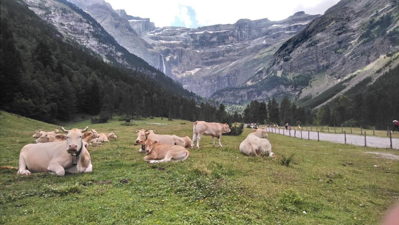 Studio En Pleine Montagne Avec Vue Sur Marmottes Ла-Монжі Екстер'єр фото