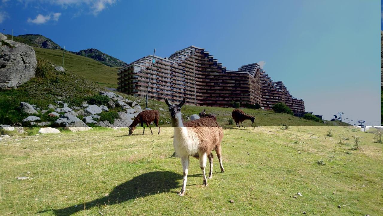 Studio En Pleine Montagne Avec Vue Sur Marmottes Ла-Монжі Екстер'єр фото